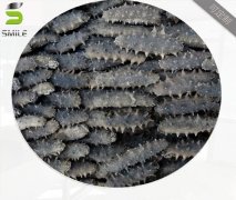 海參微波烘干設(shè)備
