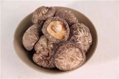 香菇烘干殺菌設(shè)備