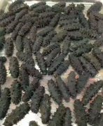 海參烘干工藝